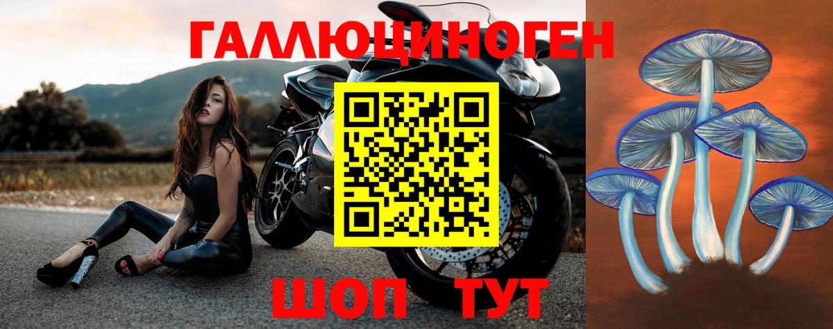 Псилоцибиновые грибы прущие грибы Будённовск